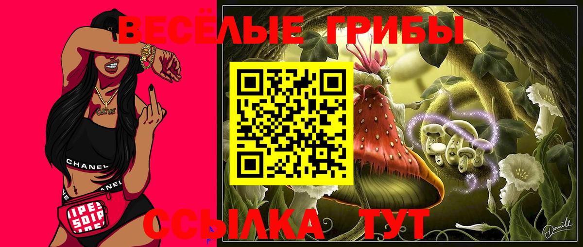 наркота  Вход с VPN  Салават  Галлюциногенные грибы MAGIC MUSHROOMS 